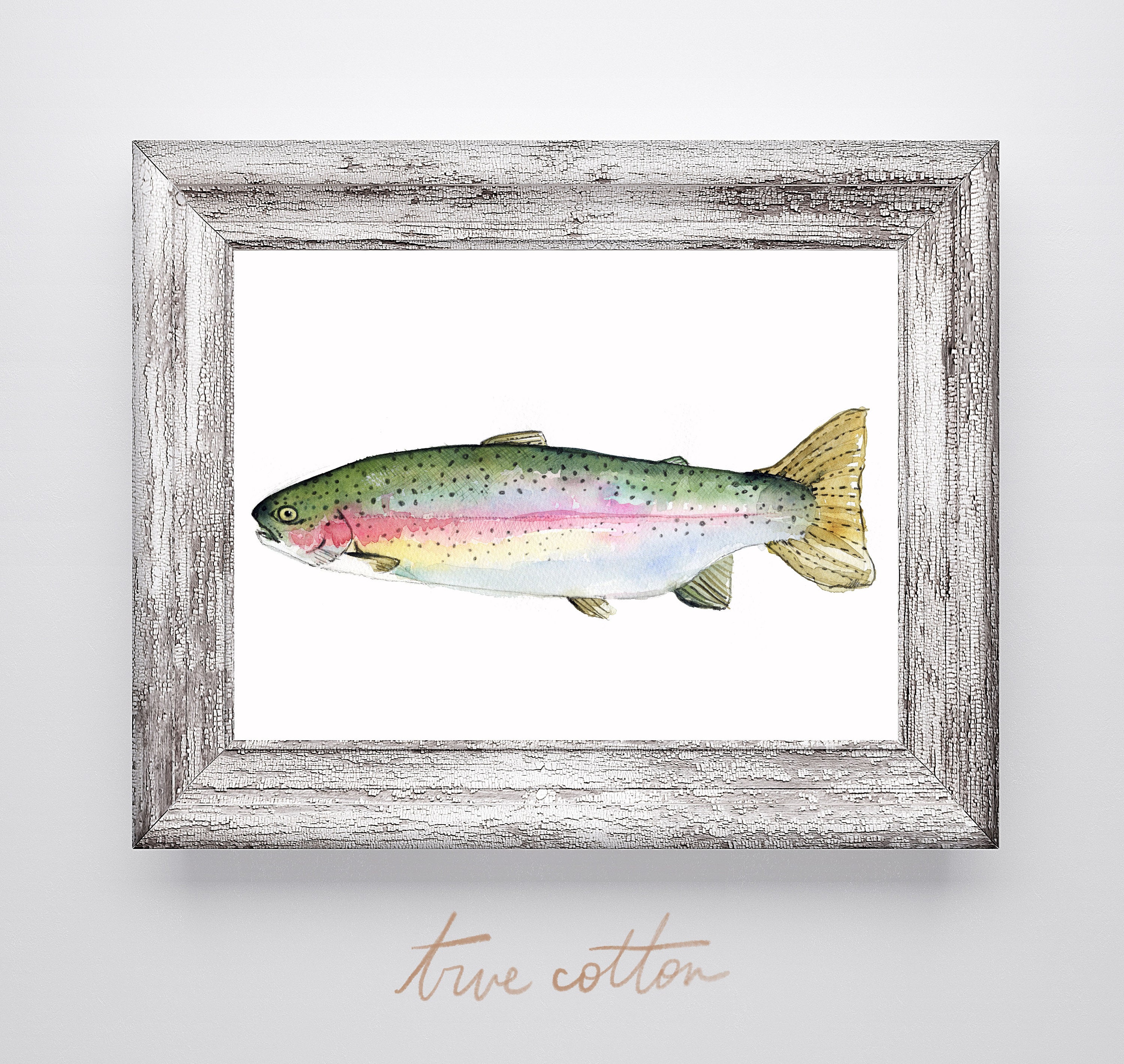 Rainbow Trout Watercolor Wall Art PRINT Etsy