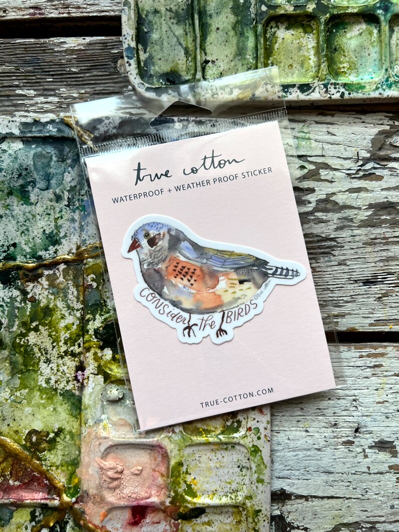 May include: A waterproof sticker featuring a watercolor illustration of a bird with the text "Consider the Birds." The sticker is packaged in a clear plastic sleeve and is from True Cotton.