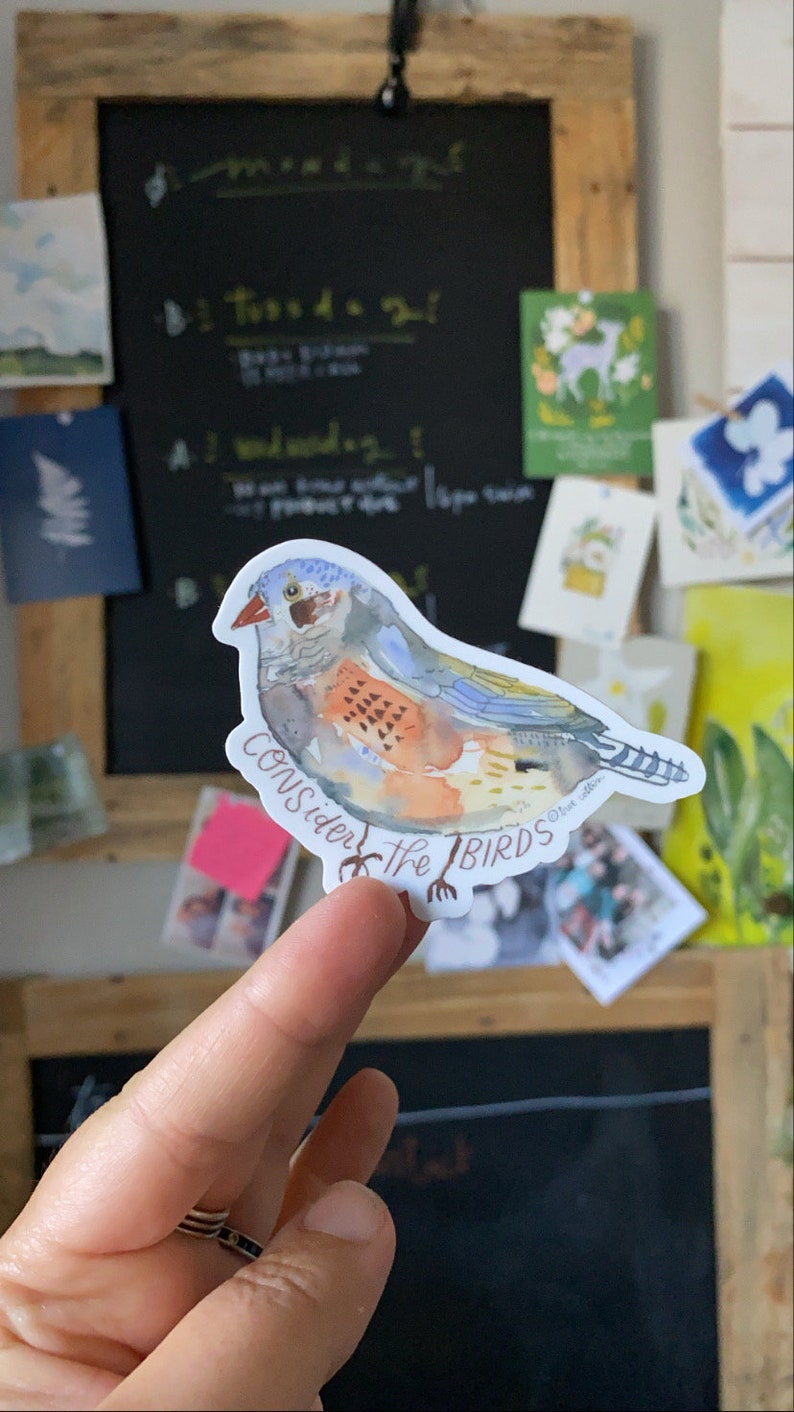 May include: A colorful bird sticker with the text "Consider the Birds." The sticker features a watercolor illustration of a bird with blue, orange, and brown feathers. The sticker is held up by a finger in front of a chalkboard.