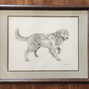 May include: A framed black and white pencil drawing of a dog. The dog is a Golden Retriever with a long, flowing coat. The dog is standing in a walking position with its head turned to the side. The drawing is signed in the bottom right corner.