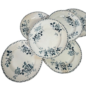 6 French Ironstone Acacia Blue Floral  Dessert  plates Saint Amand