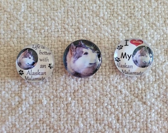 Alaskan Malamute Fridge Magnets