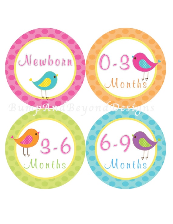 Items similar to Baby Storage Labels Baby Clothes Organization Stickers NB-2T Plus Extras - Set ...