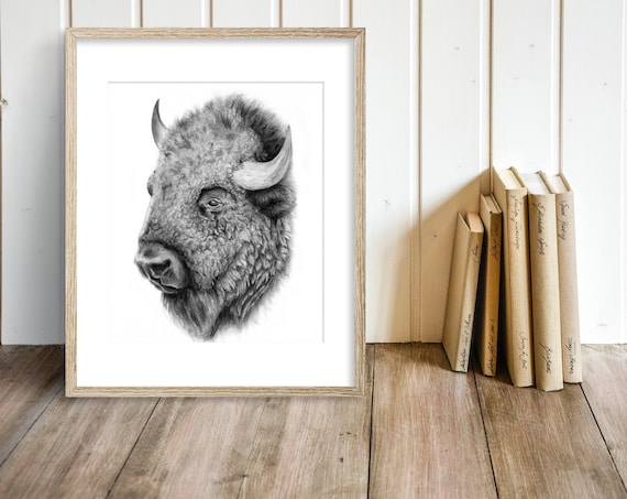 Bison Charcoal Drawing GICLEE Art Print , Buffalo , Wall Decor , Black and White Wall Art , For Him , Prairies , Canadian Wildlife , Alberta