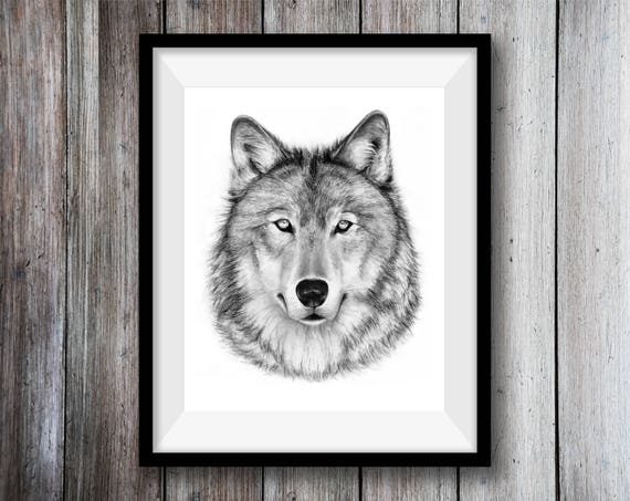 Impression Jet Dencre Dessin Au Fusain De Loup Loup Decor Noir Et Blanc Art Wall Decor Faune Et Flore Forêt Bois Animal Réalisme