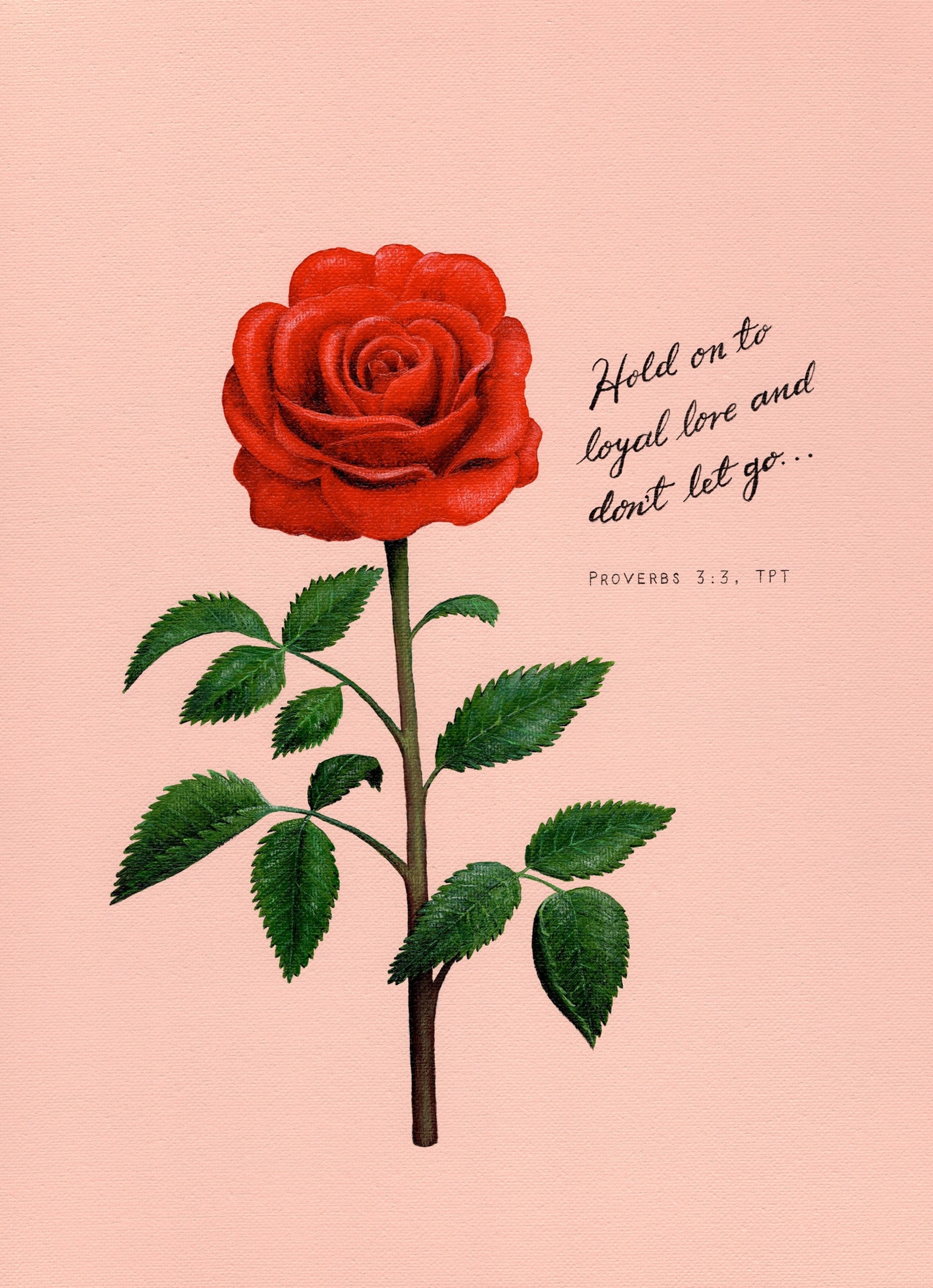 Proverbs 33 Red Rose Wall Art, Hand Lettered Love Bible Verse Art