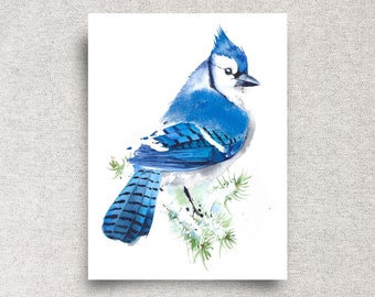 Blue jay ORIGINAL watercolor painting, winter bird illustration, backyard bird wall art, gift for mom, farmhouse décor, 9x12", unframed