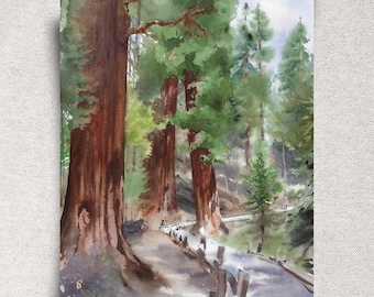 Sequoia National Park Original Watercolor Painting – California Landscape Artwork – 11x14" – Unframed