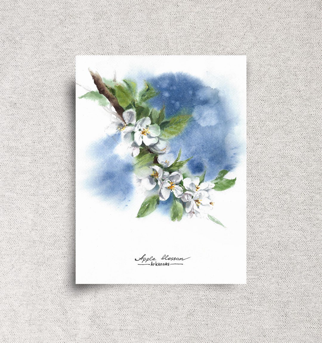 Apple Blossom ORIGINAL Watercolor Painting - Arkansas State Flower ...