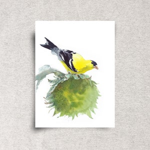 American goldfinch ORIGINAL watercolor painting, backyard bird wall art, bright home décor, 9x12&quot;, unframed