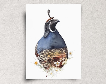 California Quail Original Watercolor Painting - Game Bird Artwork - 9x12" - Unframed