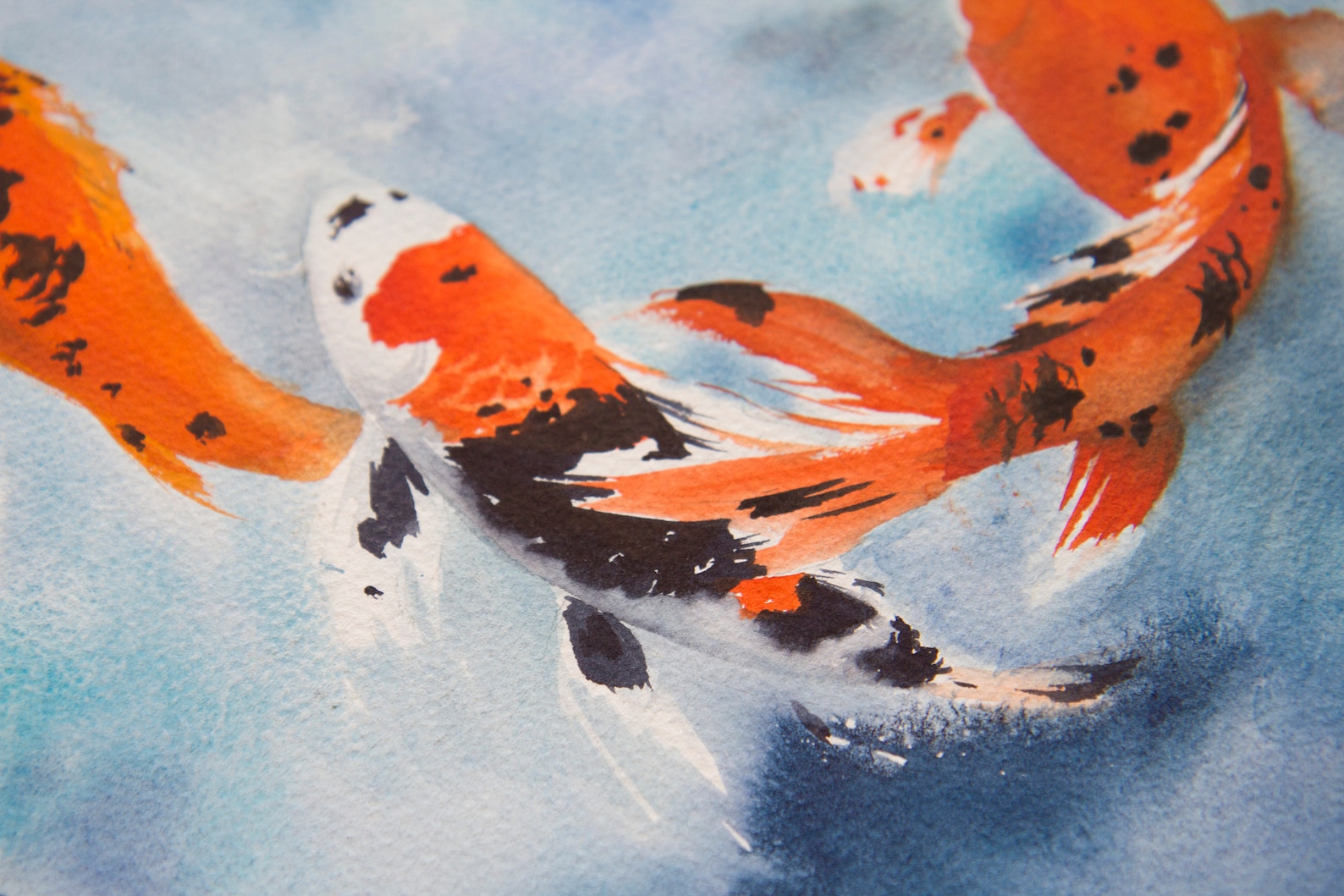 Koi Original Watercolor Painting Fish Wall Art Home Decor | Etsy