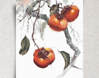 Persimmon Fruits ORIGINAL Watercolor Painting - Kitchen Wall Art - Japandi Décor - 11x14" - Unframed