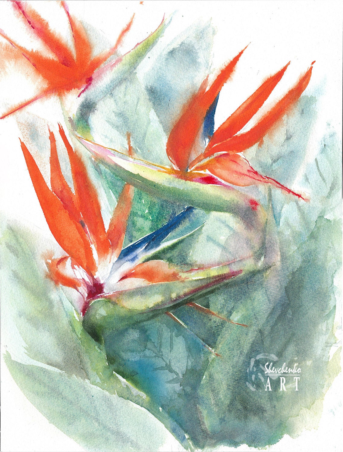 Bird of Paradise ORIGINAL Watercolor - Strelitzia Tropical Flower Painting  - 10 7/8 X 14" - Unframed - Etsy