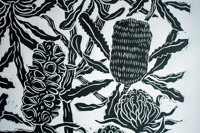 Banksias and Waratahs Linocut Print - Etsy Australia