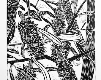 Banksia linocut print