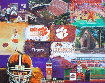 Clemson University Collage