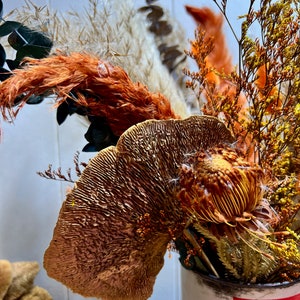 Ensemble de 3 vrais champignons éponges séchés naturels. Décor floral et boisé. image 3