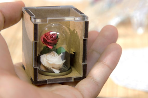 Origami Rosen Im Crystal Kuppel 200 Falten