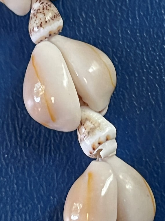 Original Ocean Shells Handmade Necklace. Great Sum