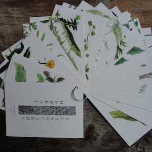 Herbal Flashcards