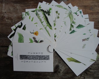 Herbal Flashcards