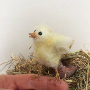 May include: A handcrafted, fluffy yellow chick with black eyes and a brown beak. The chick is perched on a finger, with a nest of hay and a broken eggshell in the background. The chick's wings are slightly spread.