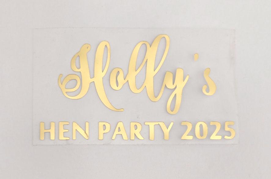 Custom Personalised Iron on Wedding Hen Party Girls Trip 2025 T Shirt ...