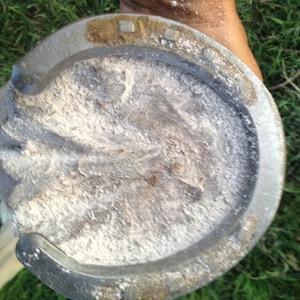 No More Horse Thrush 100% Natural Thrush Treatment for Healthy Hooves Thrush Remedy