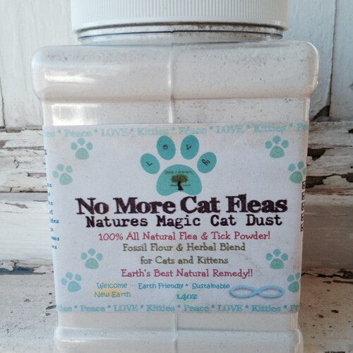 non toxic flea killer
