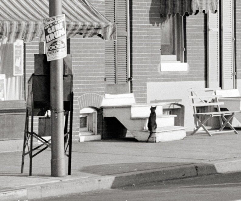 Baltimore Maryland year 1940.Row houses in Pigtown Historic Etsy