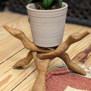 May include: A wooden plant stand shaped like three intertwined snakes, supporting a white ceramic pot with a green succulent plant.