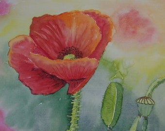 Original Aquarell Mohn Blumen Kunst Wandschmuck 24x32 Malerei Bild Gemälde Blume watercolour Art individuelle Geschenke