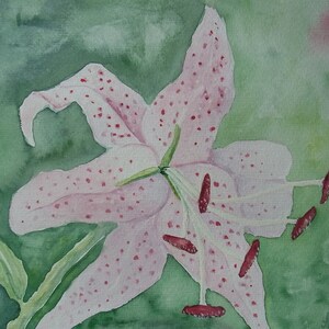 Lilie Original Aquarell Gemälde Malerei Unikat Blume grün rosa Kunst Bild Wandschmuck 24x32 individuelle Geschenke Bild 2