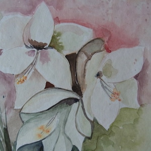 Watercolor Small Amaryllis Watercolor Art Painting Picture Wall Decoration Painting Flowers Wall Beautification