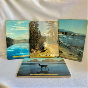 Puede incluir: Cuatro postales vintage con paisajes escénicos. La postal superior izquierda muestra un lago con montañas en el fondo. La postal superior derecha muestra un bosque con una montaña en el fondo. La postal inferior izquierda muestra una silueta de ciervo en una playa. La postal inferior derecha muestra una costa rocosa con olas del océano.