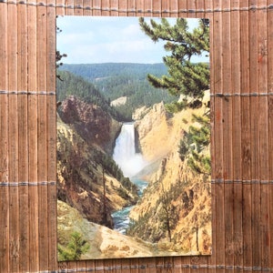 Cartoline del Parco Nazionale di Yellowstone. Circa 1970.