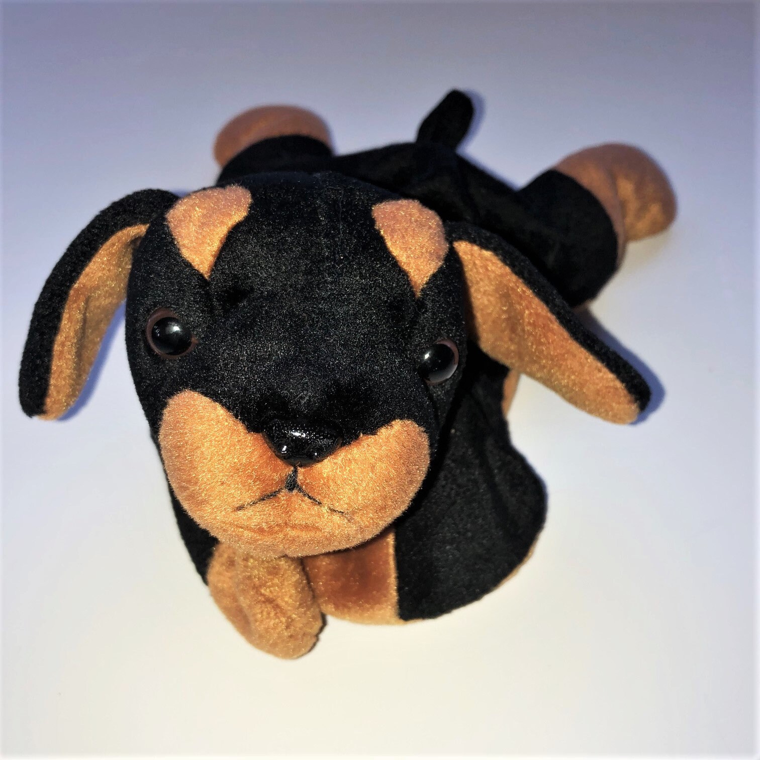 Beanie Babies. 12 Collectible Ty Productions Animals. Box #1