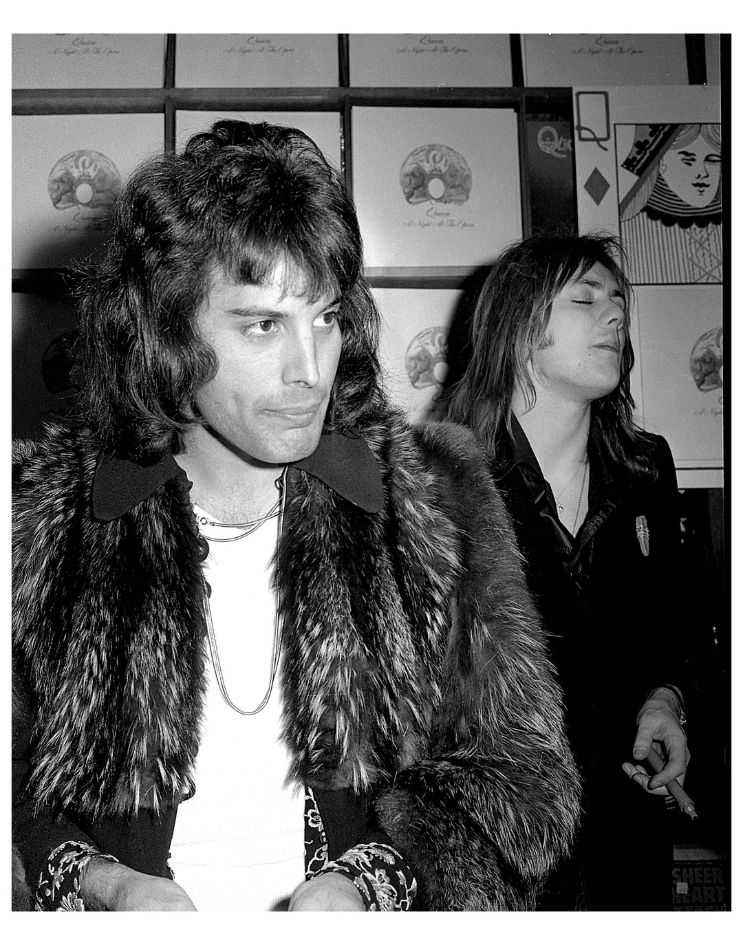 Fotos De Freddie Mercury :D | Queen Amino En Español Amino