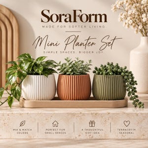 May include: A set of three ribbed mini planters in white, terracotta, and sage green, resting on a wooden tray. The planters hold a trailing pothos, a small succulent, and a string of pearls. Text reads SoraForm Mini Planter Set.
