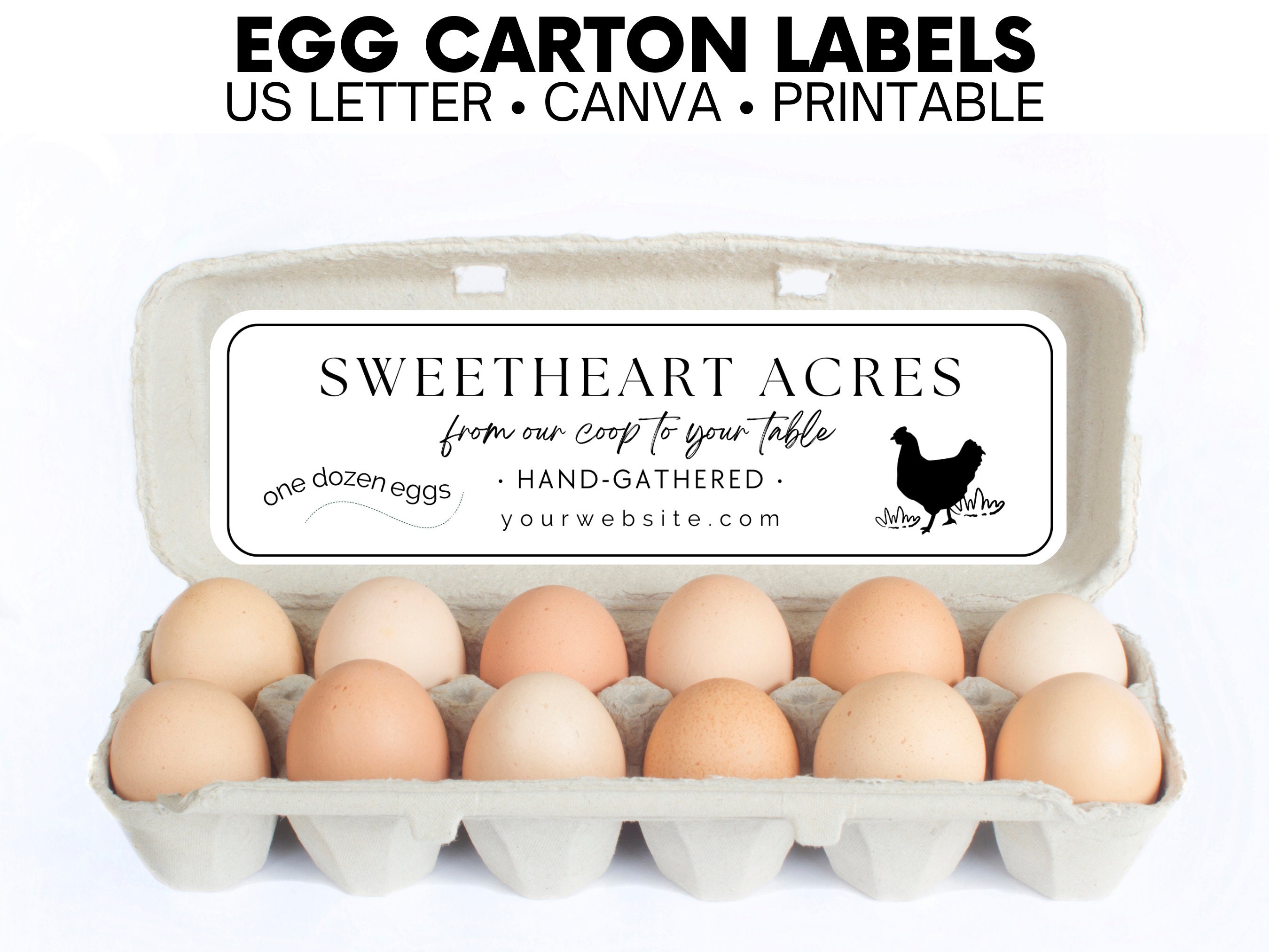 Funny duck cartoon illustration egg carton label