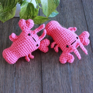 Love Lobster Crochet pattern Amigurumi crochet pattern PDF digital file instant download image 4