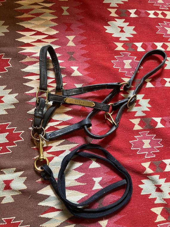 Vintage Large Size Leather Horse Halter Etsy