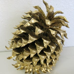 Gold Pine Cone Christmas Pine Cone Giant Pine Ghost Pine