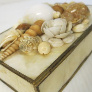 May include: Cream-coloured rectangular box decorated with various seashells, including spiral conches, a white flower-shaped shell, and a large, smooth white shell. The box has a brass-coloured metal frame.