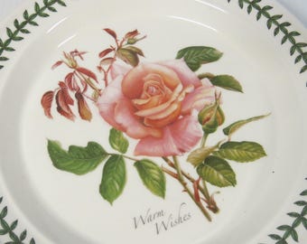 Plato Portmeirion Botanic Rose, plato llano, cálidos deseos, 26,7 cm (10 1/2")