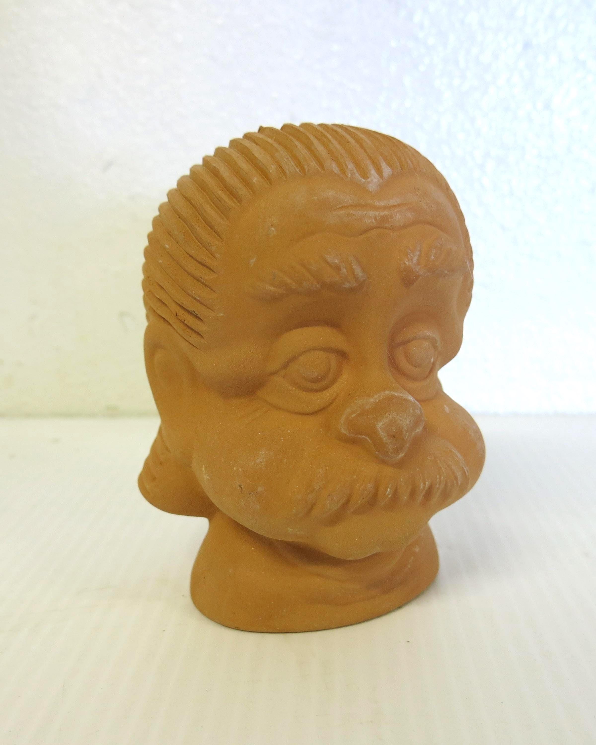 Albert Einstein Chia Pet Pottery - Etsy