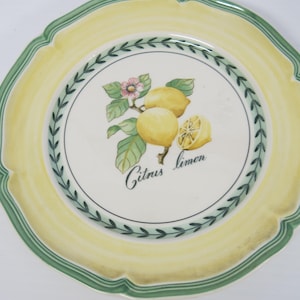 Villeroy and Boch French Garden Salad Plate NEW