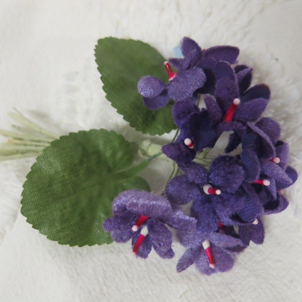 Silk African Violets Etsy