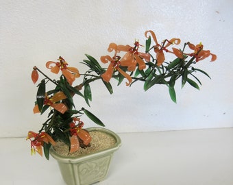 Glass Bonsai Tree Japan Asian Art Rare Color